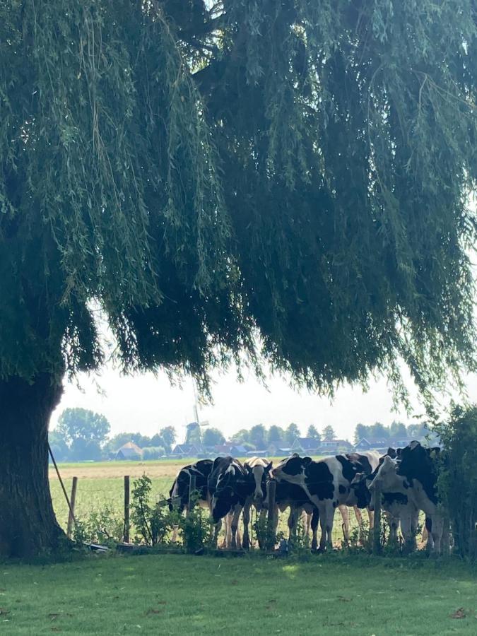 Vakantiehuis Het Uilennest Wijdenes Esterno foto