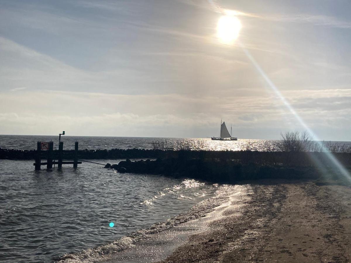 Vakantiehuis Het Uilennest Wijdenes Esterno foto