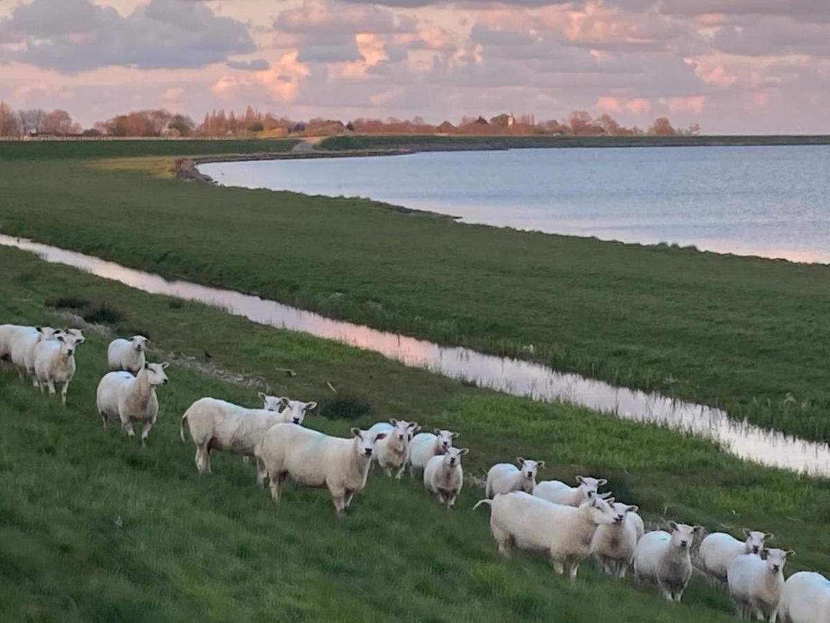 Vakantiehuis Het Uilennest Wijdenes Esterno foto