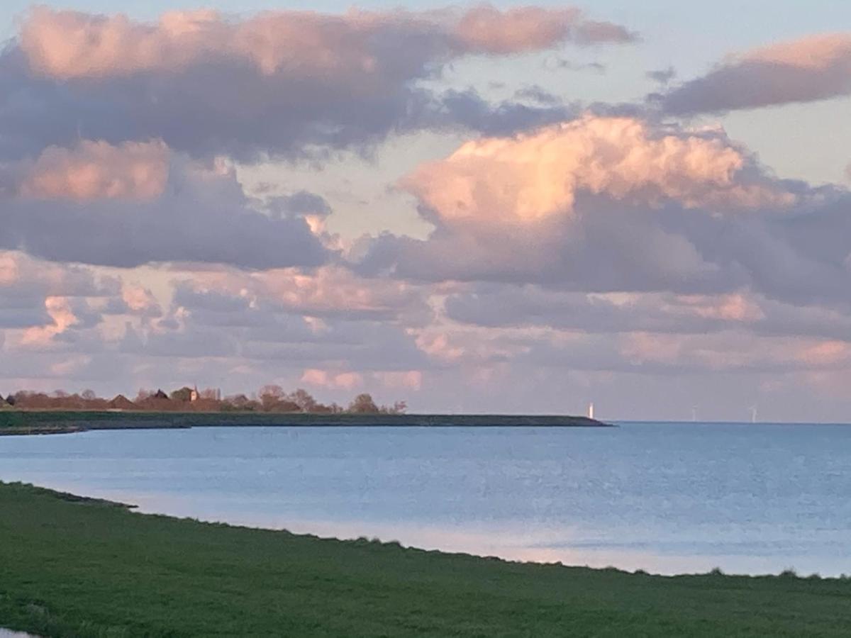 Vakantiehuis Het Uilennest Wijdenes Esterno foto