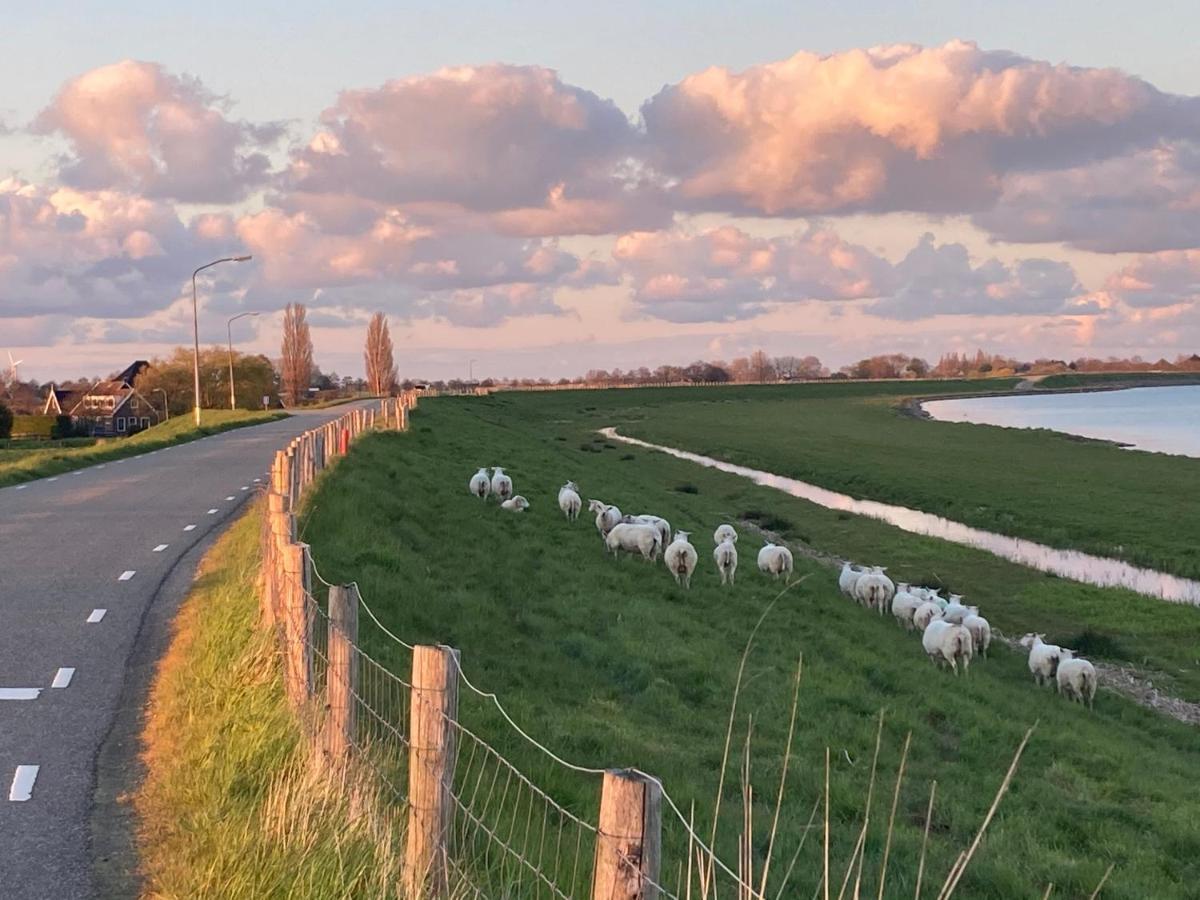 Vakantiehuis Het Uilennest Wijdenes Esterno foto