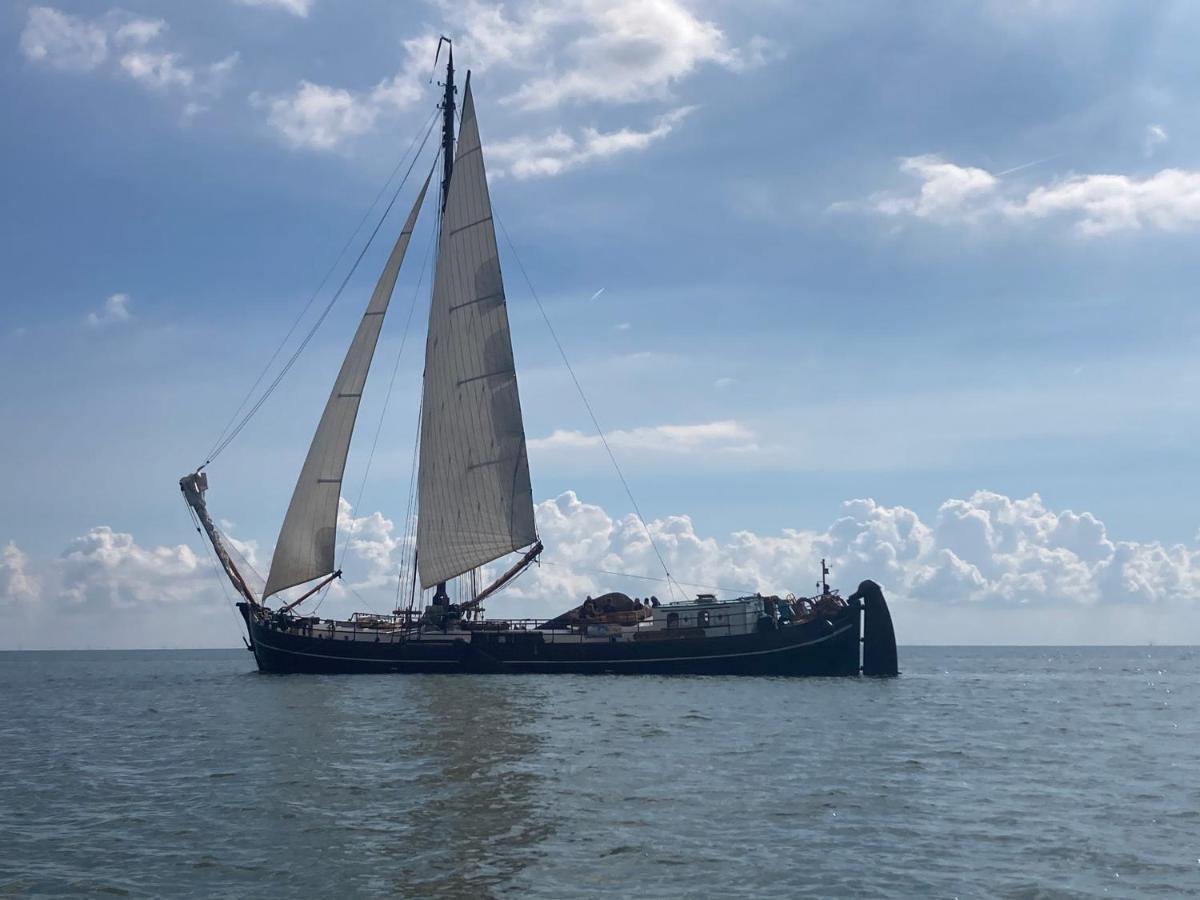 Vakantiehuis Het Uilennest Wijdenes Esterno foto
