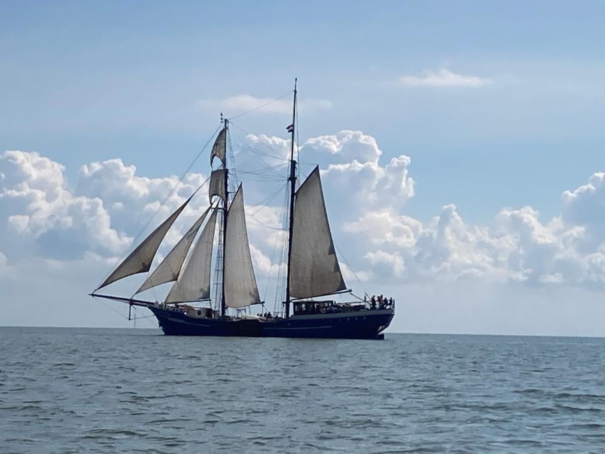 Vakantiehuis Het Uilennest Wijdenes Esterno foto