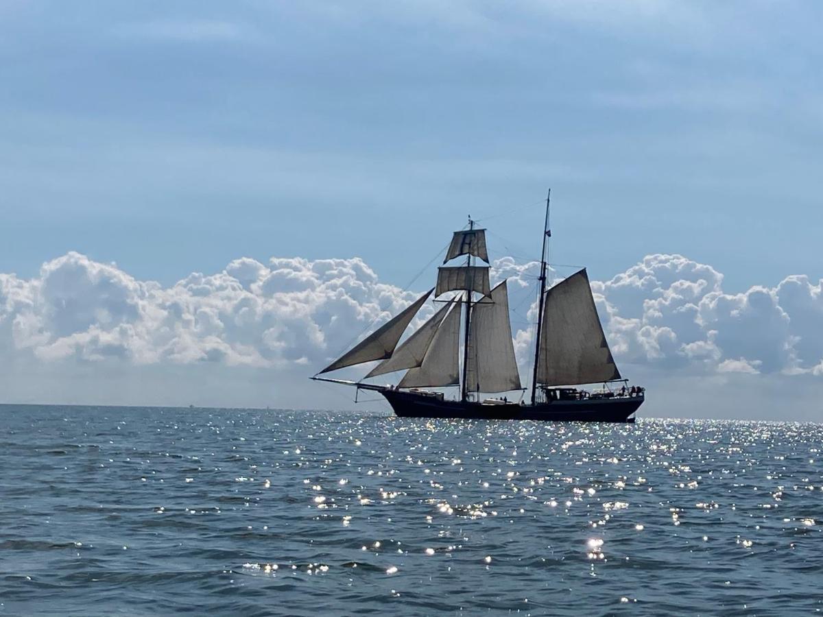 Vakantiehuis Het Uilennest Wijdenes Esterno foto
