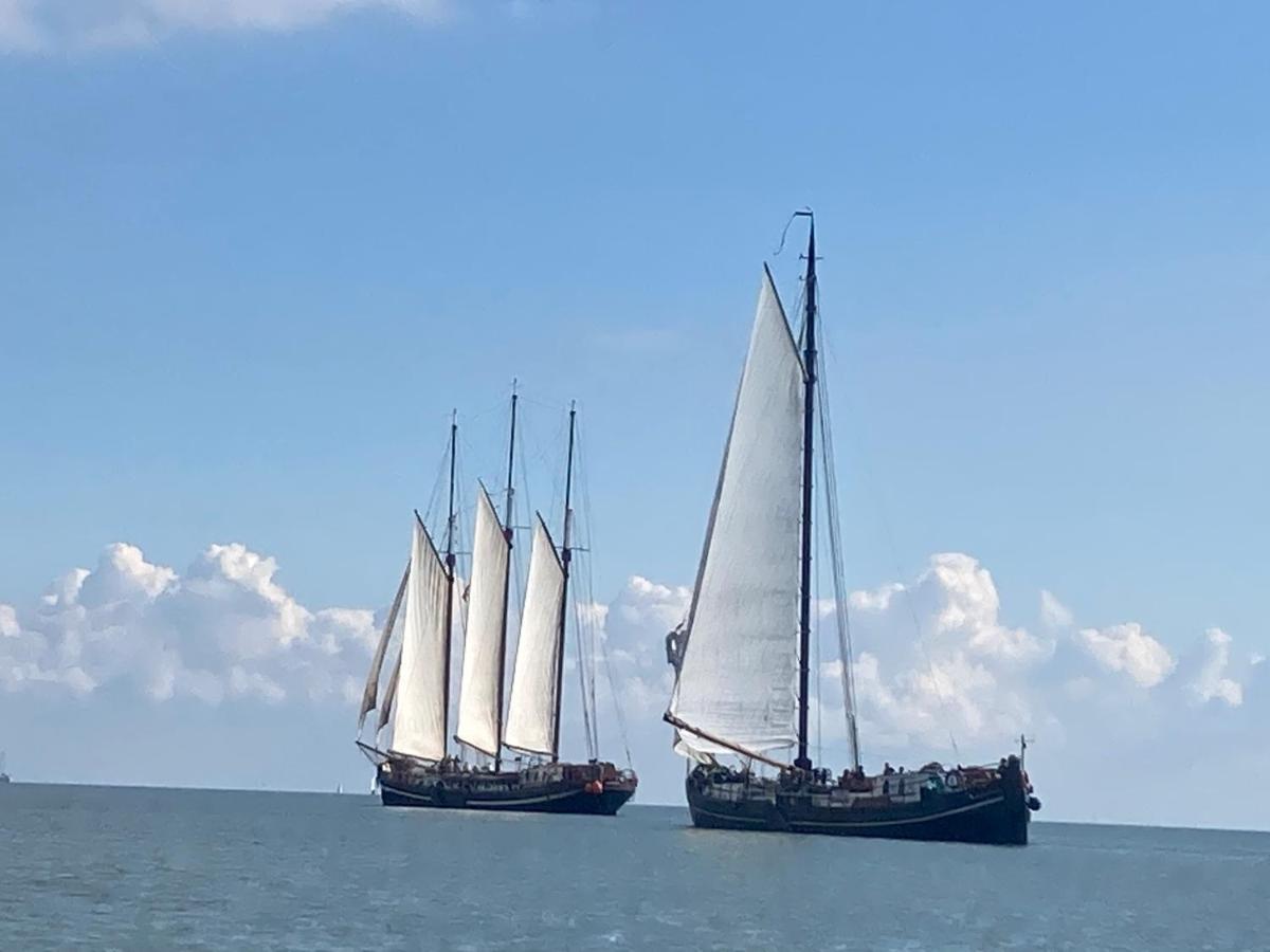 Vakantiehuis Het Uilennest Wijdenes Esterno foto
