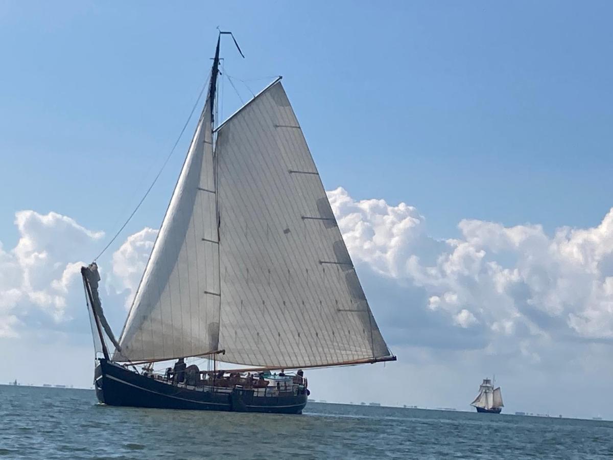 Vakantiehuis Het Uilennest Wijdenes Esterno foto