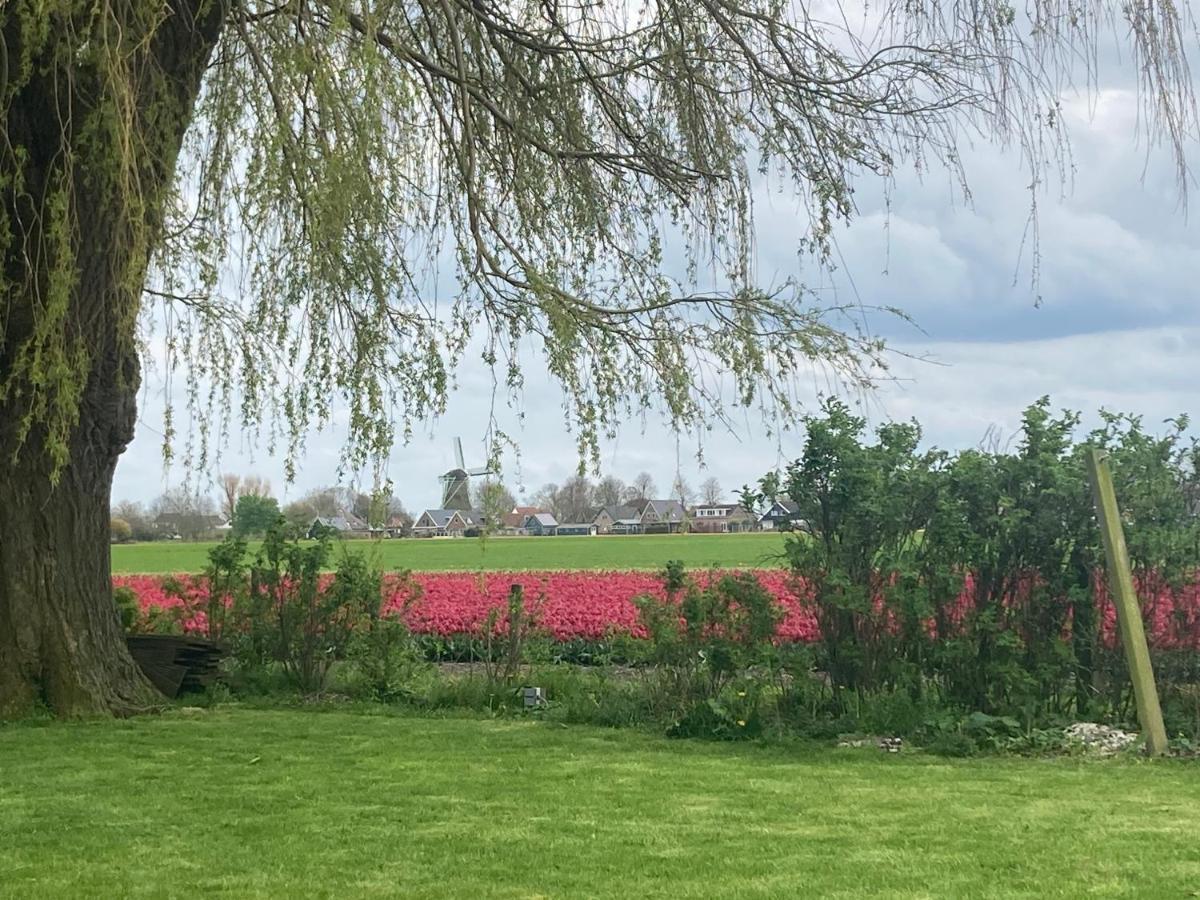 Vakantiehuis Het Uilennest Wijdenes Esterno foto
