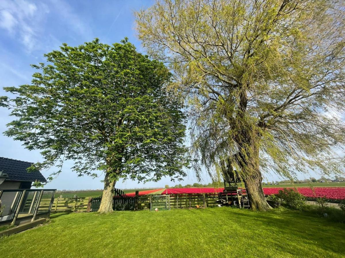 Vakantiehuis Het Uilennest Wijdenes Esterno foto