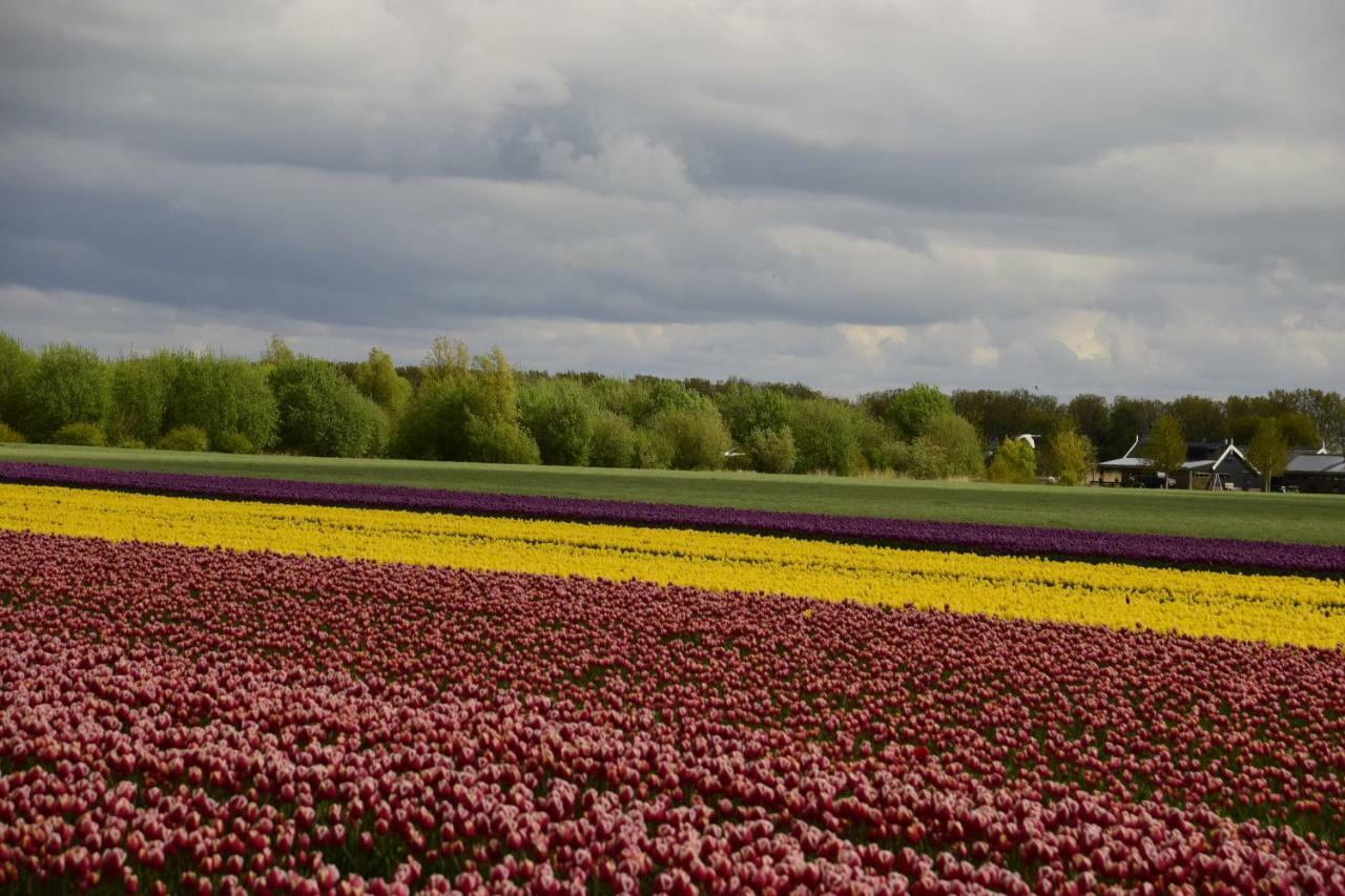 Vakantiehuis Het Uilennest Wijdenes Esterno foto