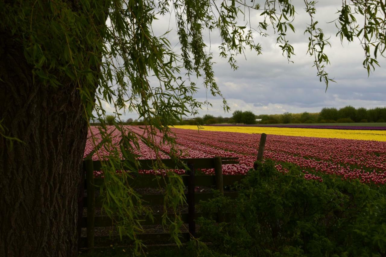 Vakantiehuis Het Uilennest Wijdenes Esterno foto