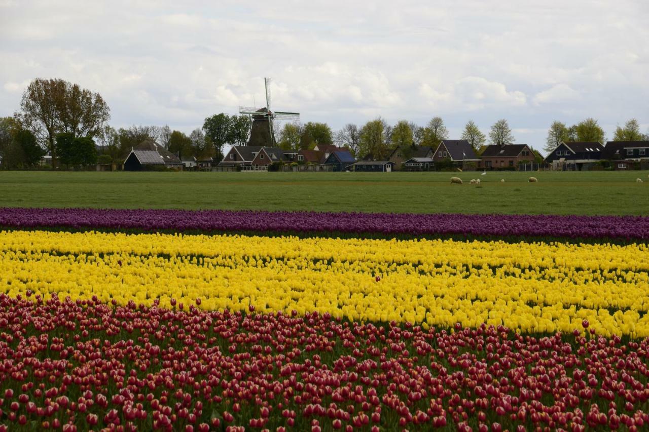 Vakantiehuis Het Uilennest Wijdenes Esterno foto